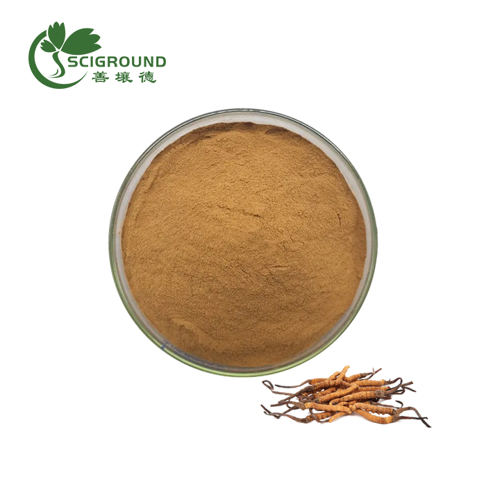 Cordyceps Extract Powder Mushroom Extract Scigroundbio